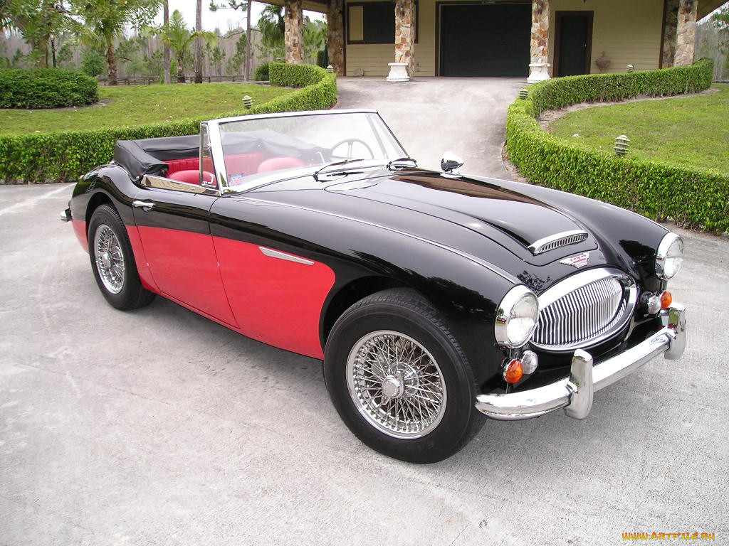 austin, 1966, , healy
